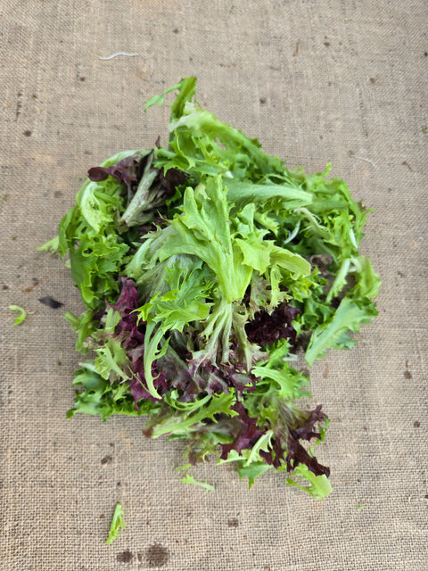 Lettuce Mix | Alexandra’s Farm
