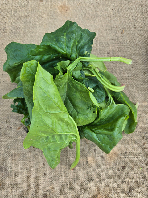 Spinach | Alexandra’s Farm