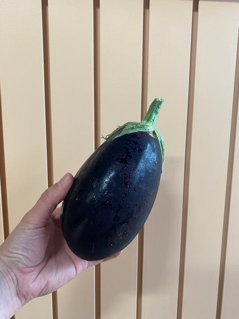 Eggplant | Alexandra’s Farm
