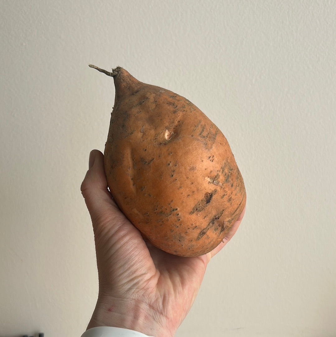 Pfenings Types Pfennings Organic Sweet Poatoes – Roux Bakehouse
