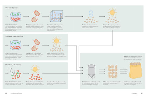 The World Atlas of Coffee 3rd Edition | James Hoffmann