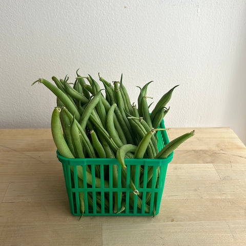 Alexandra’s Farms Beans