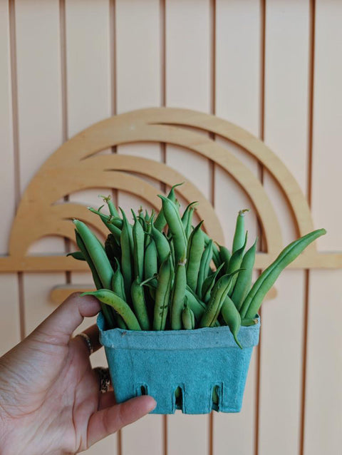 Green Beans | Alexandra’s Farm