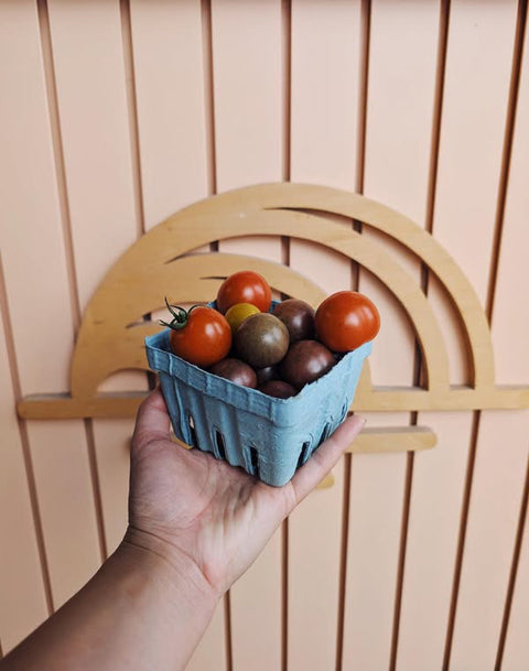 Cherry Tomatoes | Alexandra’s Farm