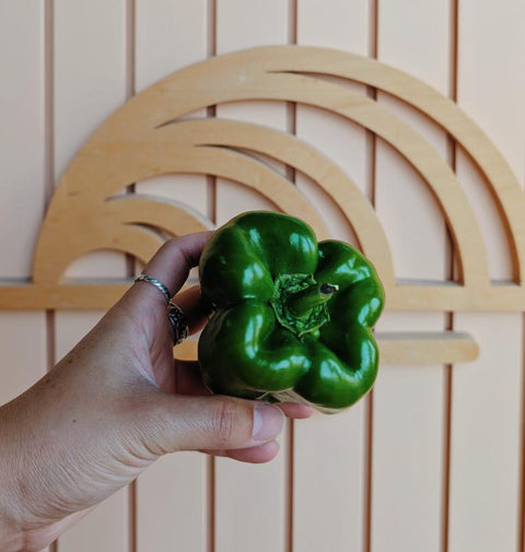 Bell Pepper | Alexandra’s Farm