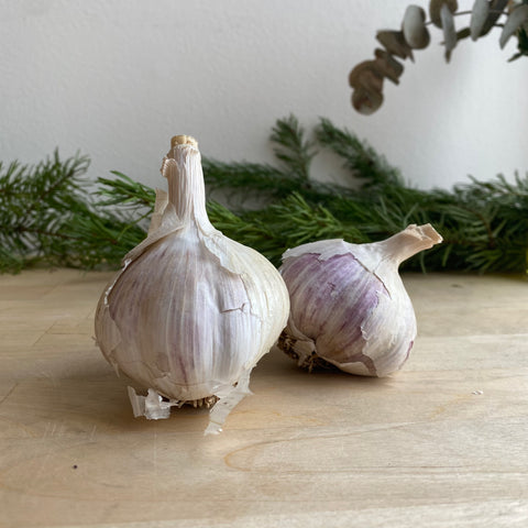 Pfennings Garlic