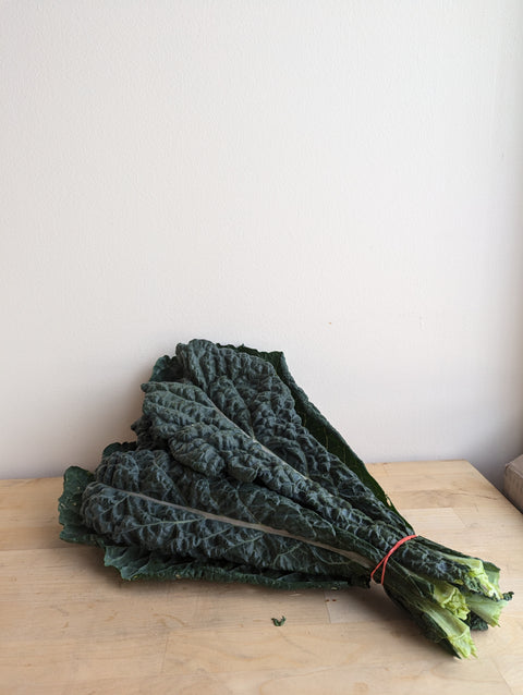 Kale Bundle (Dinosaur, Lacinato) | Alexandra’s Farm