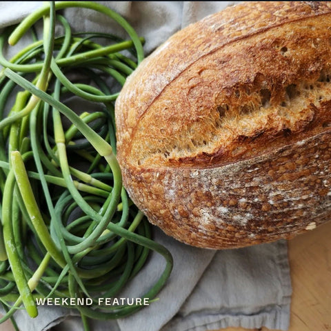 Garlic Scape and Cheddar Loaf