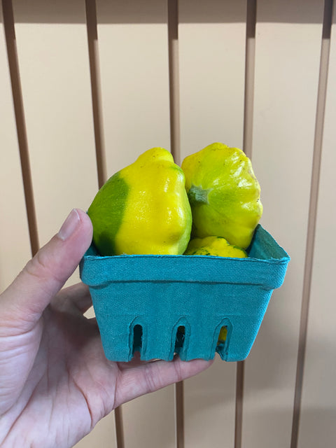 Patty Pan | Alexandra’s Farm