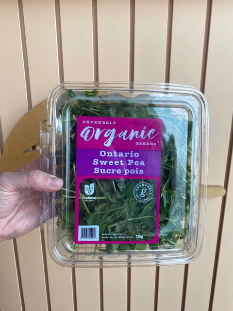 Greenbelt Ontario Sweet Pea Micro Greens