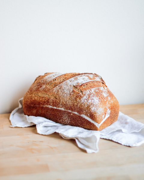 Whole Wheat Loaf