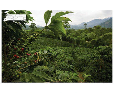 The World Atlas of Coffee 2nd Edition | James Hoffmann